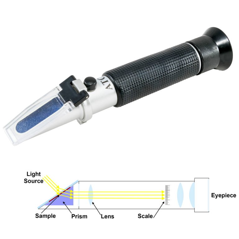Product View